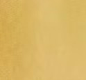 696 / BRASS - Brass Powder Coat