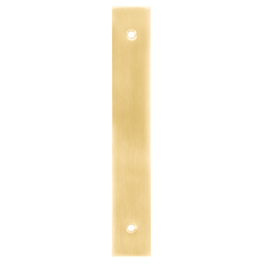 Von Duprin 050088 Scalp Plate in US3 Bright Brass