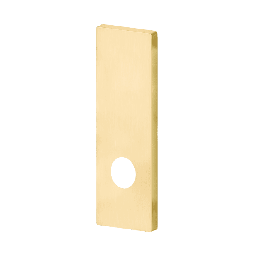Picture of 09-632N Blank x Lever and Knob N Escutcheon  for 1-3/8" to 4" thick doors