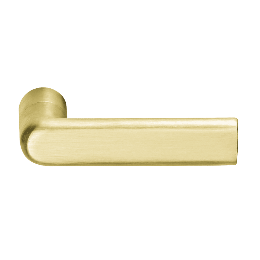 Picture of 09-401 Exterior Lever, w/Retaining Clip & Insertion Tool, For L Series