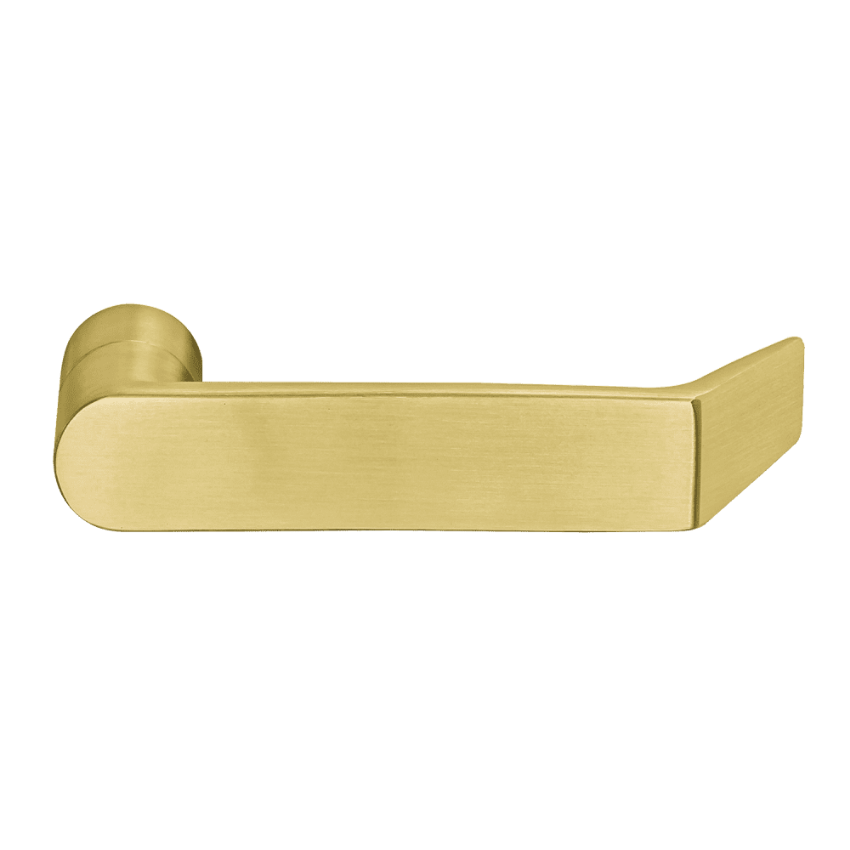 Picture of 09-401 Exterior Lever, w/Retaining Clip & Insertion Tool, For L Series
