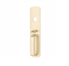 Von Duprin 880TP Thumbpiece in US3 Bright Brass