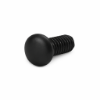 Picture of 967329 Sex Bolt Head - 606/608 Trim