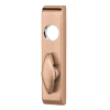 Von Duprin 374T US10 Satin Bronze Thumbturn Exit Trim