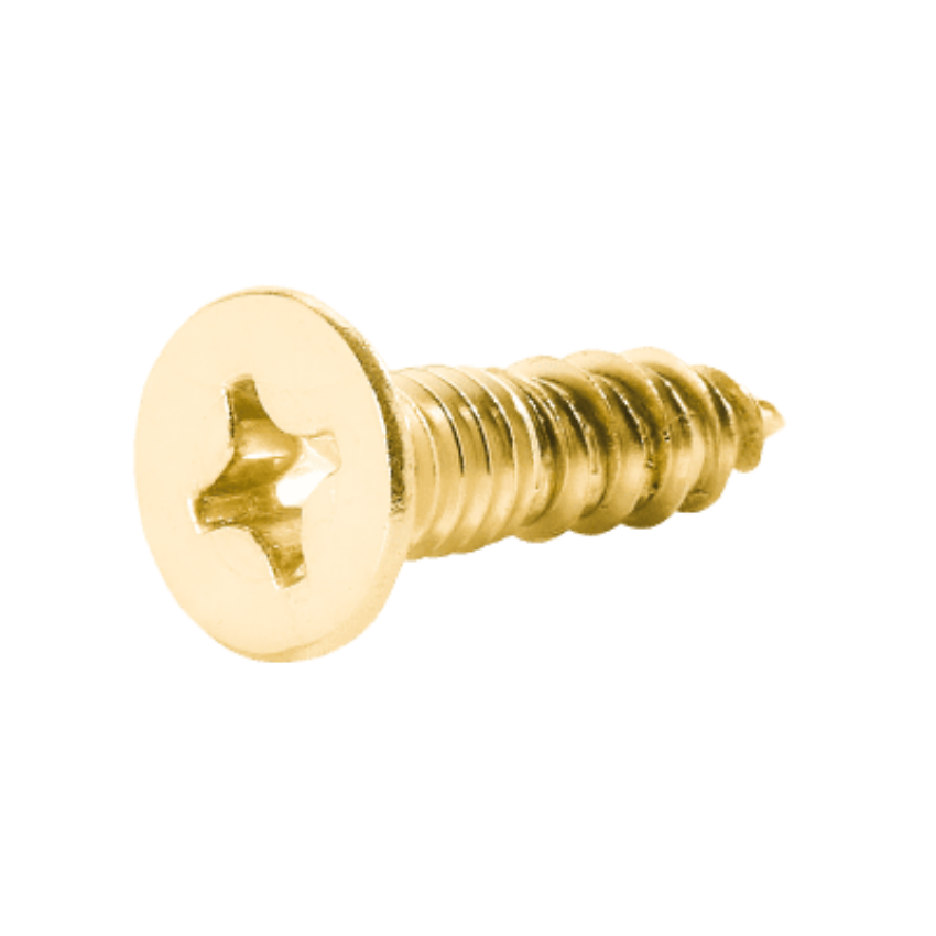 Schlage C203-736 605 Bright Brass ANSI Strike Screw Pack