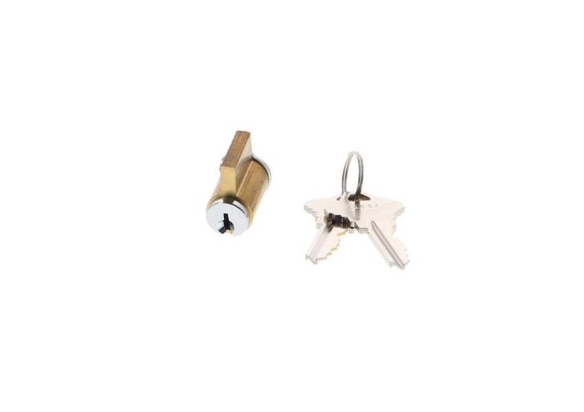 Adams Rite 29-0461-03-01 Insert Cylinder with 2 Keys